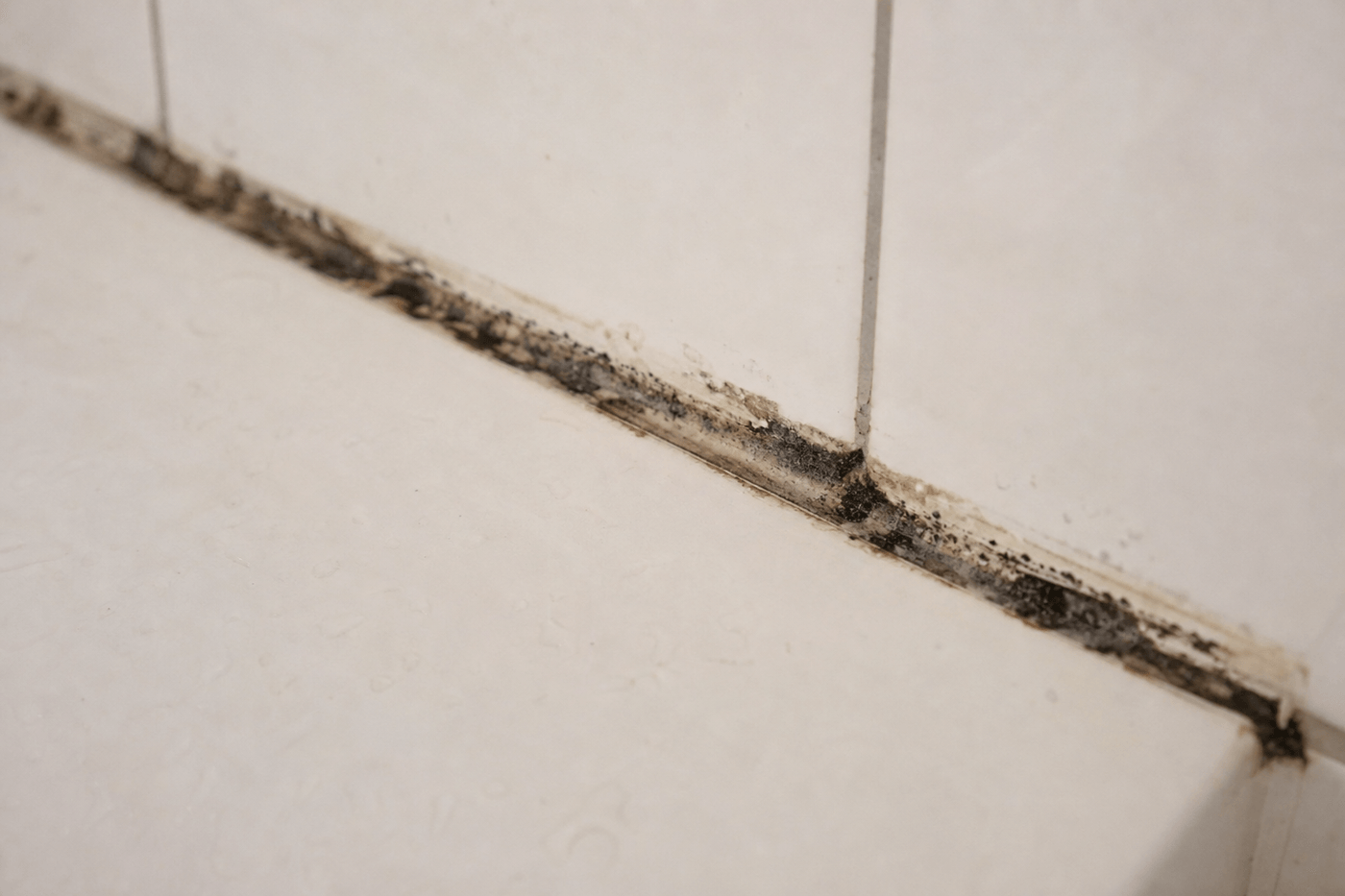 Joint silicone noirci par des moisissures au pied d'une paroi de douche carrelée blanche